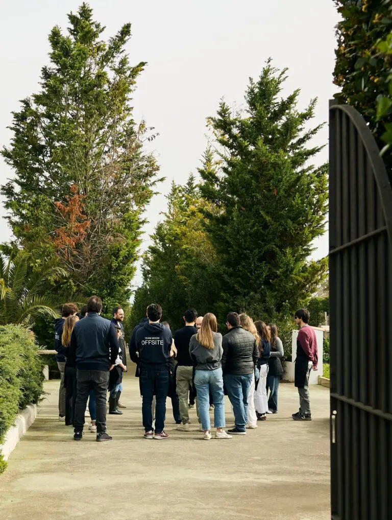 Meaningful Impact Program